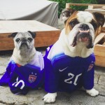 Abby Wambach's wife Sarah Huffman