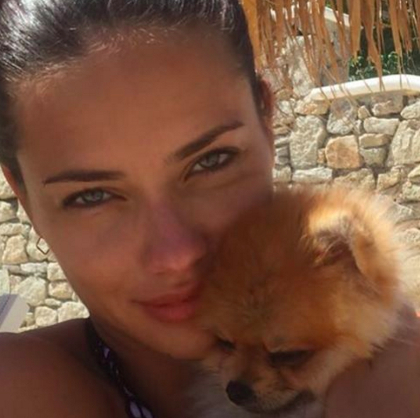 Julian Edelman’s Girlfriend History