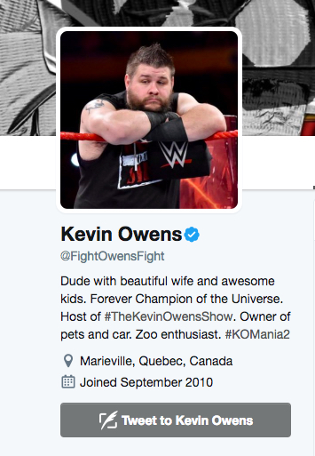 Kevin Owens’ Wife Karina Steen