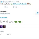 Nia Jax's Boyfriend Josh Woods - Twitter
