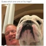 This Dog is not Bob Huggins wife - Twitter