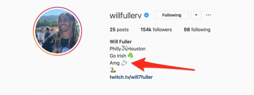 Will Fuller’s Girlfriend Anna Gilbertson?